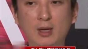 娱乐圈吃瓜熊猫,熊猫视角下的吃瓜盛宴